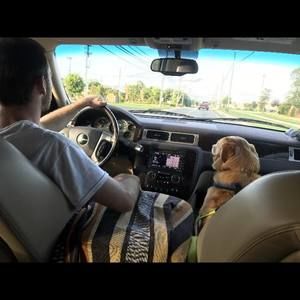 Meet your Posher, Gerald